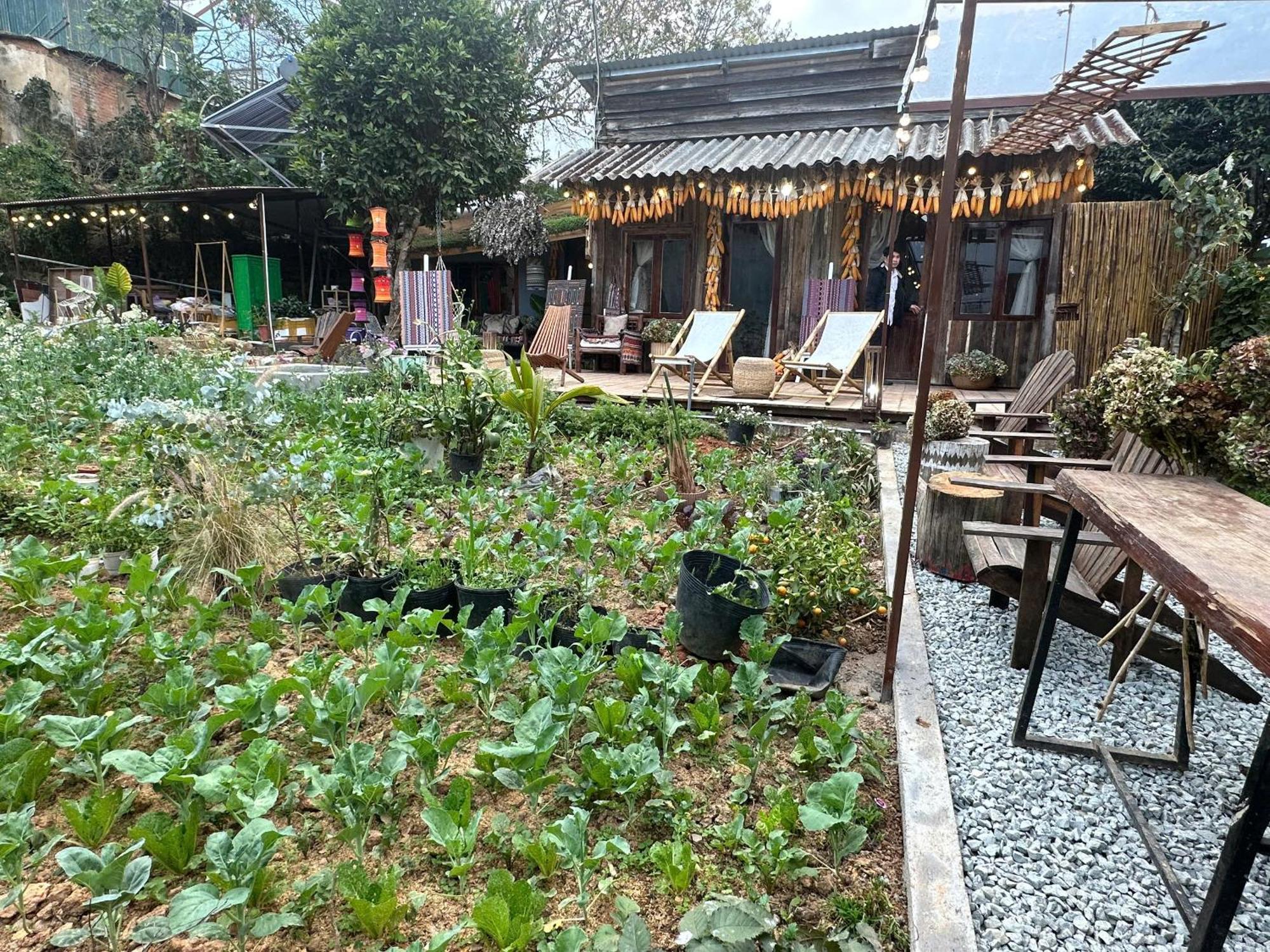 Hotel Lang Ko Ho 大叻 外观 照片